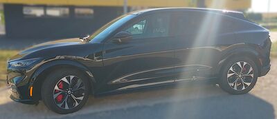 Ford Mustang Gebrauchtwagen Ford Mustang Gebrauchtwagen