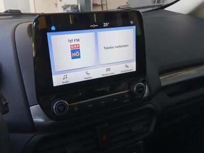 Ford EcoSport Gebrauchtwagen