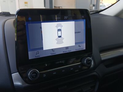 Ford EcoSport Gebrauchtwagen