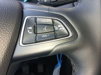 Ford EcoSport Gebrauchtwagen