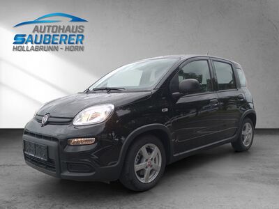 Fiat Panda Gebrauchtwagen Fiat Panda Gebrauchtwagen