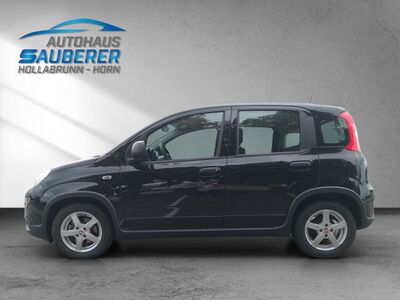 Fiat Panda Gebrauchtwagen Fiat Panda Gebrauchtwagen