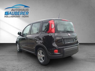 Fiat Panda Gebrauchtwagen Fiat Panda Gebrauchtwagen