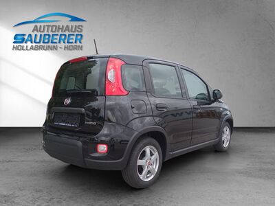 Fiat Panda Gebrauchtwagen Fiat Panda Gebrauchtwagen
