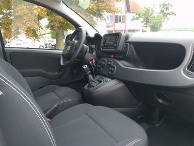 Fiat Panda Gebrauchtwagen Fiat Panda Gebrauchtwagen