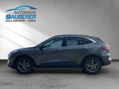 Ford Kuga Gebrauchtwagen Ford Kuga Gebrauchtwagen