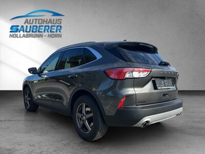 Ford Kuga Gebrauchtwagen Ford Kuga Gebrauchtwagen
