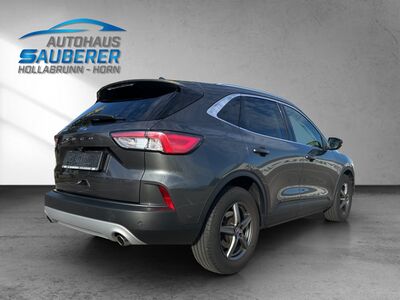 Ford Kuga Gebrauchtwagen Ford Kuga Gebrauchtwagen
