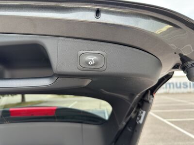 Ford Focus Gebrauchtwagen Ford Focus Gebrauchtwagen