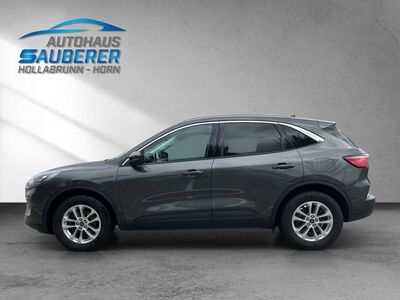 Ford Kuga Gebrauchtwagen Ford Kuga Gebrauchtwagen