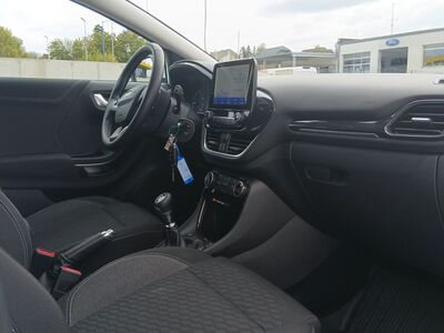 Ford Puma Gebrauchtwagen