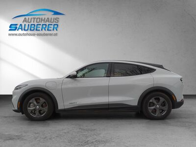 Ford Mustang Mach-E Gebrauchtwagen Ford Mustang Mach-E Gebrauchtwagen