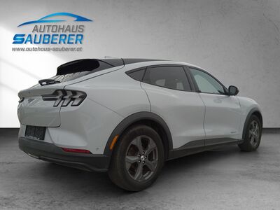 Ford Mustang Mach-E Gebrauchtwagen Ford Mustang Mach-E Gebrauchtwagen