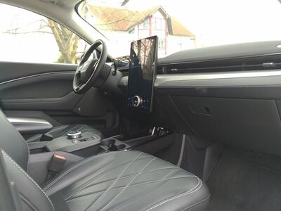 Ford Mustang Mach-E Gebrauchtwagen Ford Mustang Mach-E Gebrauchtwagen