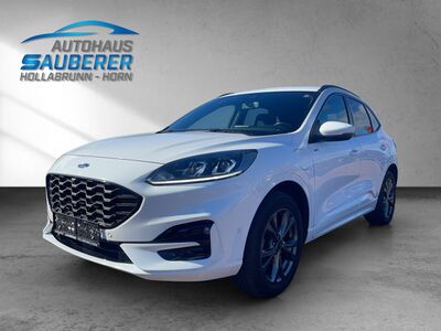 Ford Kuga Gebrauchtwagen