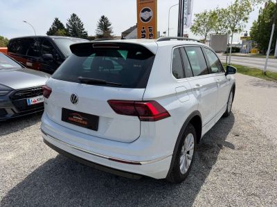 VW Tiguan Gebrauchtwagen VW Tiguan Gebrauchtwagen