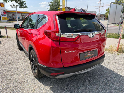 Honda CR-V Gebrauchtwagen