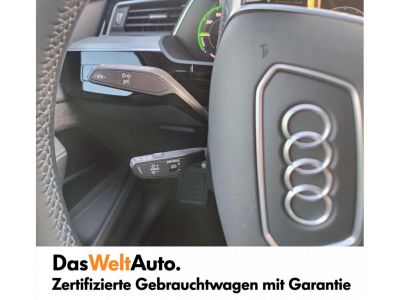 Audi e-tron Gebrauchtwagen