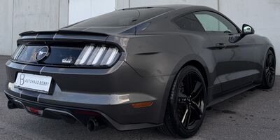 Ford Mustang Gebrauchtwagen Ford Mustang Gebrauchtwagen