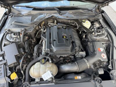 Ford Mustang Gebrauchtwagen Ford Mustang Gebrauchtwagen