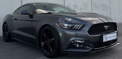 Ford Mustang Gebrauchtwagen Ford Mustang Gebrauchtwagen