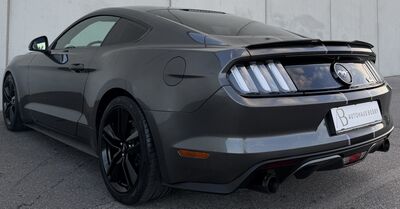 Ford Mustang Gebrauchtwagen Ford Mustang Gebrauchtwagen