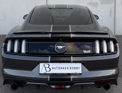 Ford Mustang Gebrauchtwagen Ford Mustang Gebrauchtwagen