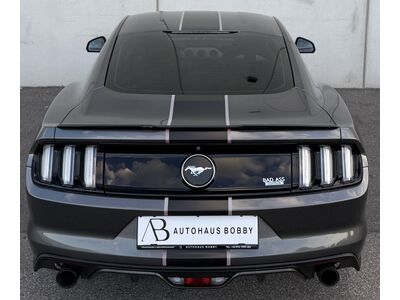 Ford Mustang Gebrauchtwagen Ford Mustang Gebrauchtwagen