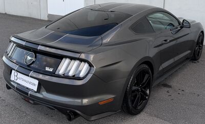 Ford Mustang Gebrauchtwagen Ford Mustang Gebrauchtwagen