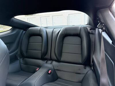 Ford Mustang Gebrauchtwagen Ford Mustang Gebrauchtwagen