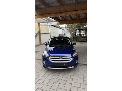 Ford Kuga Gebrauchtwagen
