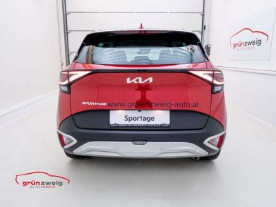 KIA Sportage Vorführwagen