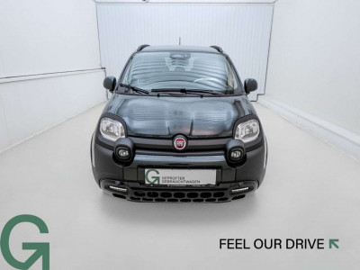 Fiat Panda Gebrauchtwagen