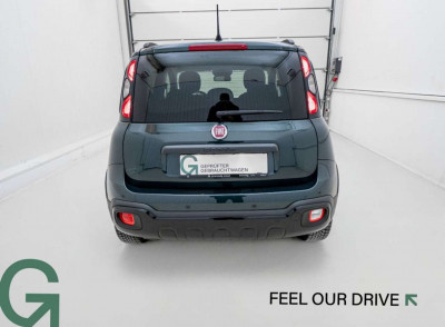 Fiat Panda Gebrauchtwagen