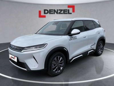BYD Atto 2 Vorführwagen BYD Atto 2 Vorführwagen