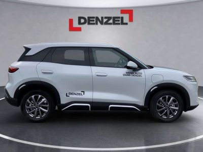 BYD Atto 2 Vorführwagen BYD Atto 2 Vorführwagen