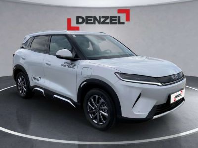 BYD Atto 2 Vorführwagen BYD Atto 2 Vorführwagen