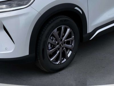 BYD Atto 2 Vorführwagen BYD Atto 2 Vorführwagen