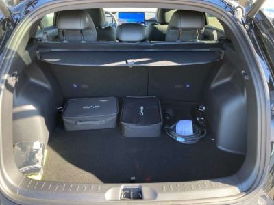 BYD Atto 3 Neuwagen