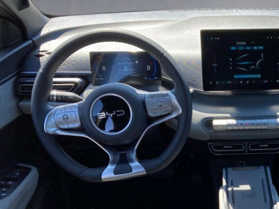 BYD Dolphin Surf Vorführwagen