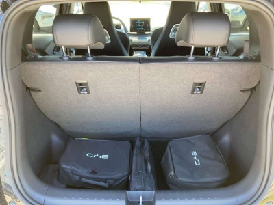 BYD Dolphin Surf Vorführwagen