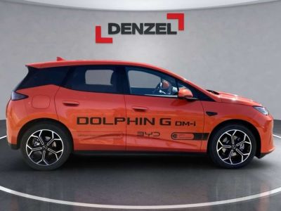 BYD Dolphin Vorführwagen