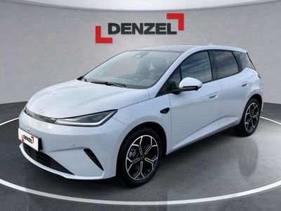 BYD Dolphin G Neuwagen BYD Dolphin G Neuwagen