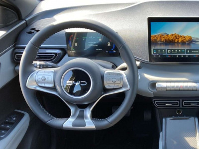 BYD Dolphin Surf Vorführwagen BYD Dolphin Surf Vorführwagen