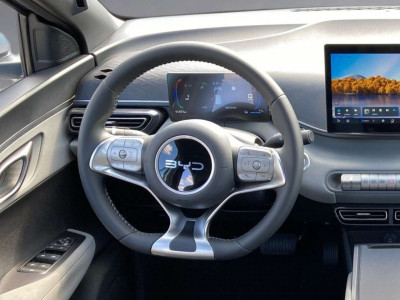 BYD Dolphin Surf Vorführwagen