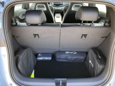 BYD Dolphin Surf Vorführwagen