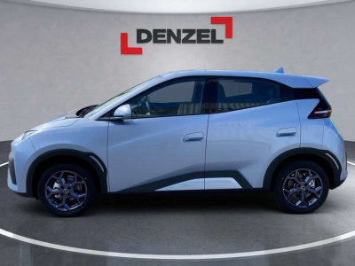 BYD Dolphin Surf Vorführwagen