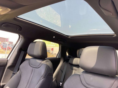 BYD Atto 2 Neuwagen