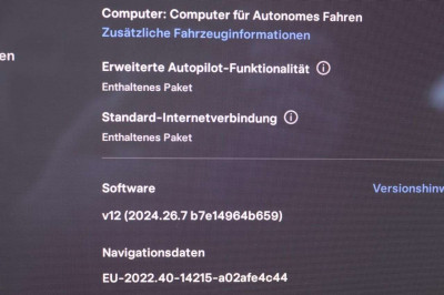Tesla Model 3 Gebrauchtwagen