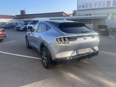 Ford Mustang Mach-E Gebrauchtwagen